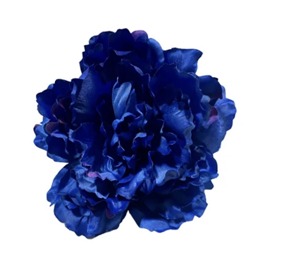 Flor flamenca Peonía Azul eléctrico
