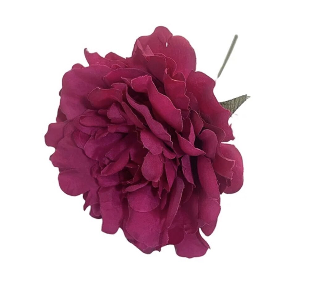 Flor flamenca Peonía Rosa caldera