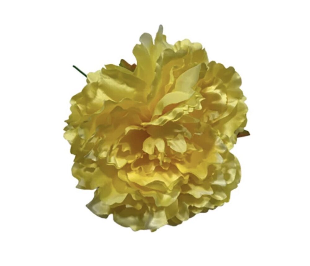 Flor flamenca Peonía Amarilla